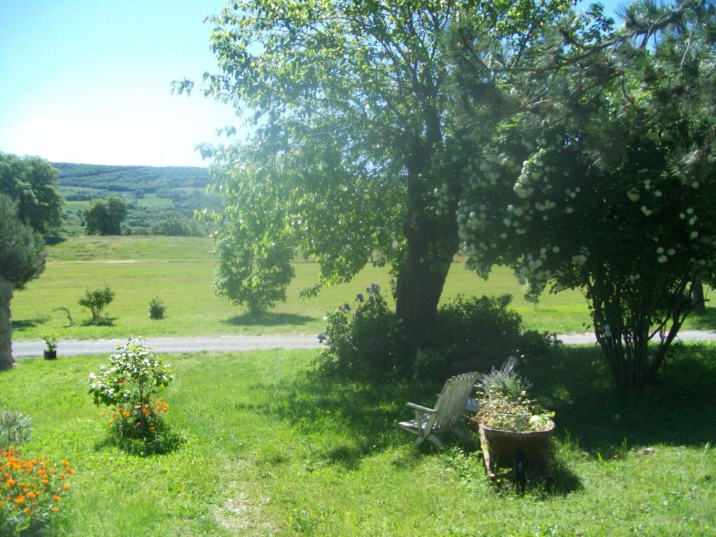 Chambre D'Hotes La Margotte Forcalquier Exterior foto